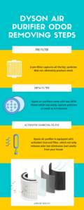 Infographic on how dyson air purifier removes odor