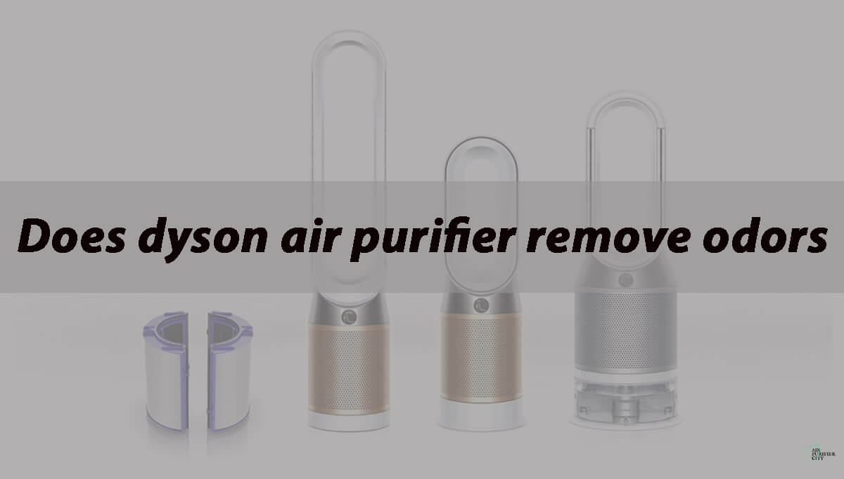 Featured image contains text, does Dyson air purifier remove odor