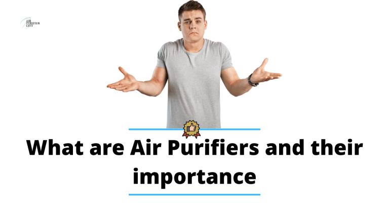 What are air purifiers and what is their importance