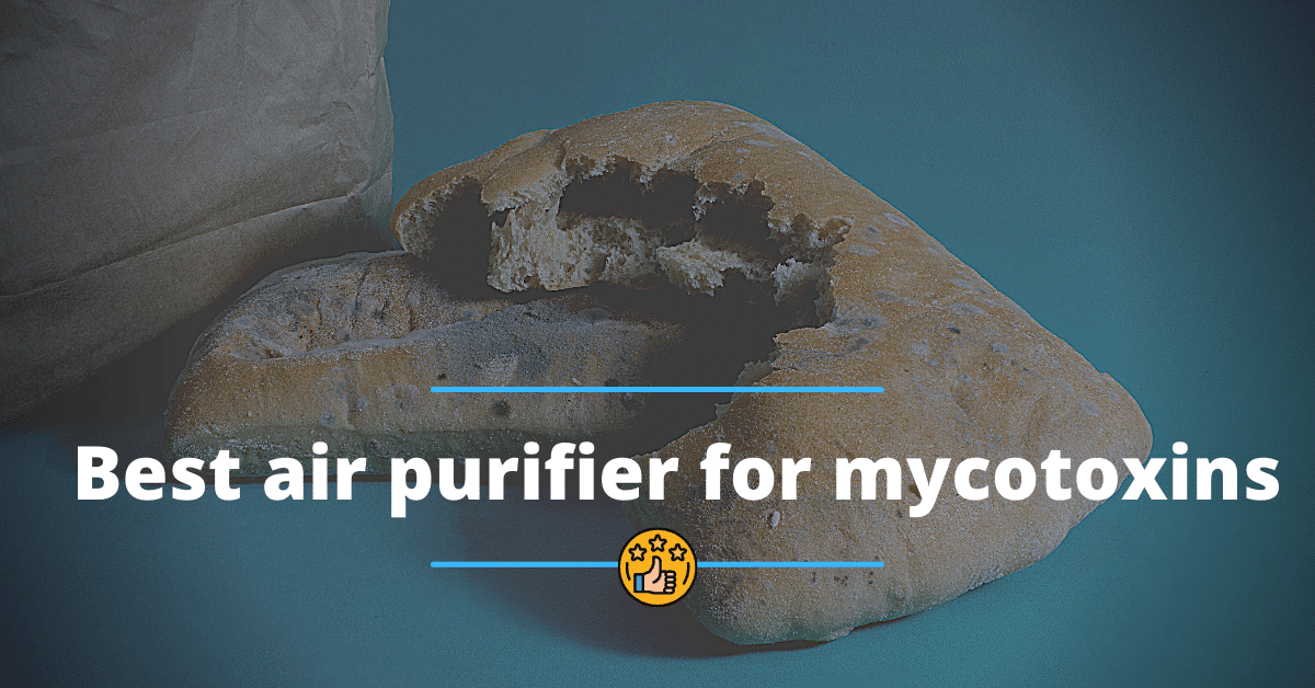 Best air purifier for mycotoxins