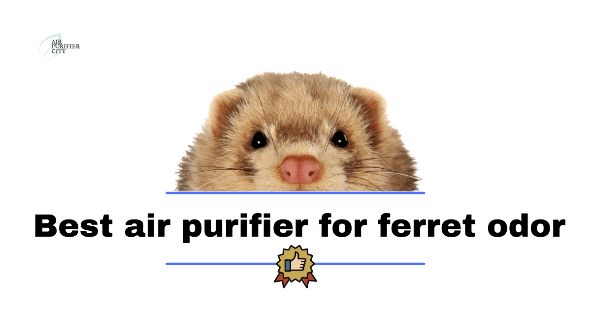 best air purifier for ferret odor