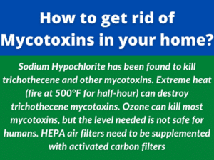 how to get rid of mycotoxins in your home