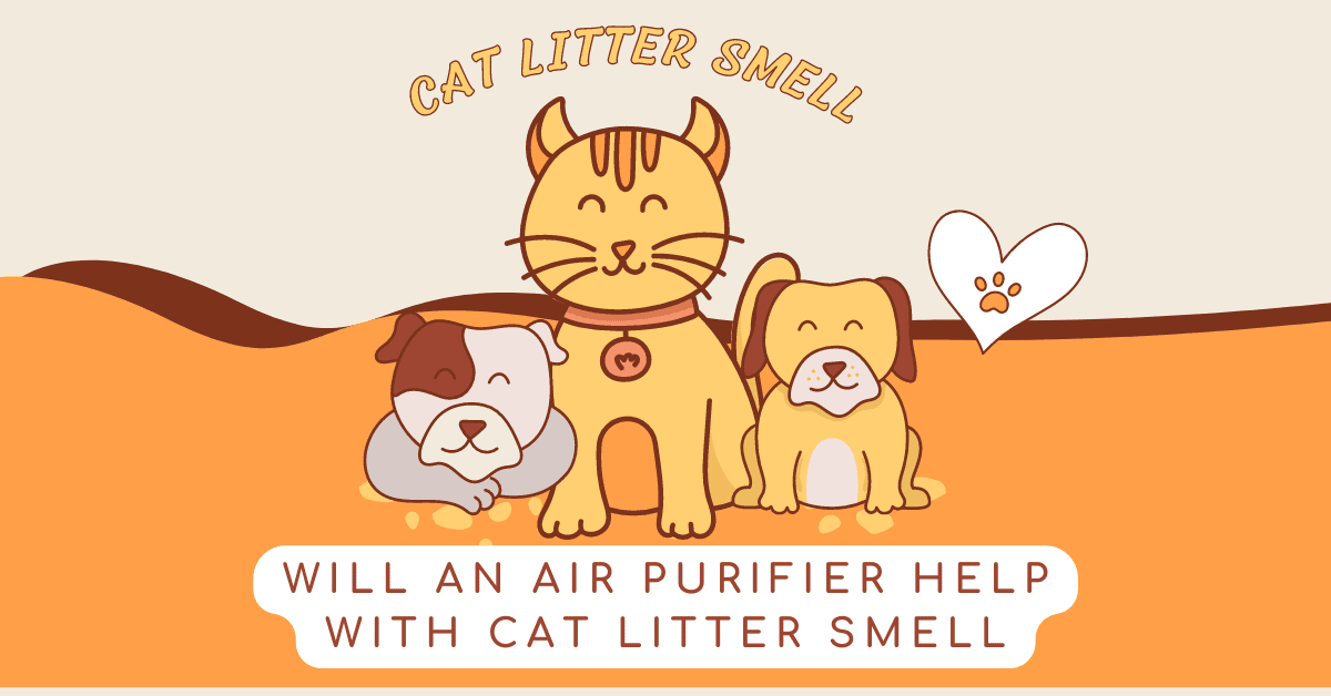 Will An Air Purifier Help With Cat Litter Smell