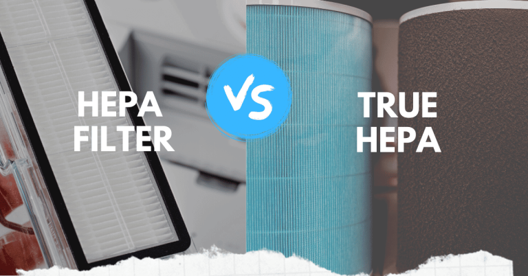 True hepa filter vs hepa filter