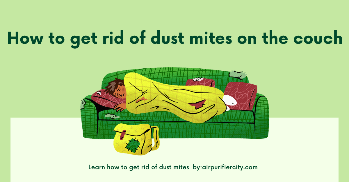 How to get rid of dust mites on the couch